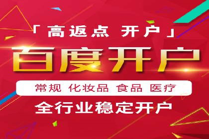 百度竞价广告的投放策略与成功案例分析
